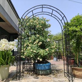 Metal Garden Arch L59'' x W17.71'' x H90.55'' Climbing Plants Support Rose Arch Outdoor Black (Option: Black)